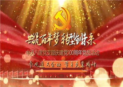 尊龙八建党支部庆党建100周年党员活动
